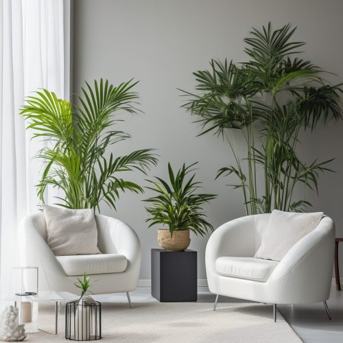 White Living Room Adorned With Potted Palms